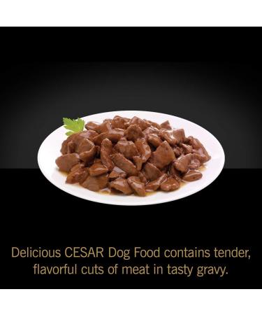 CESAR Home Delights Wet Dog Food - Pot Roast with Spring Vegetables Dinner in Sauce - 100g (24 Pack) Pot Roast with Spring Vegetables 100 g (Pack of 24) - Buy Online on GoSupps.com