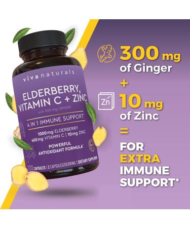 Viva Naturals Elderberry with Vitamin C and Zinc (120 Capsules) - 1000mg Sambucus Elderberry Immune Support Supplement Black Elderberry Capsules for Adults Elderberry Vitamins - 2 Months Supply 120 Count (Pack of 1) - Buy Online on GoSupps.com