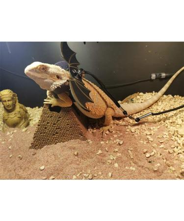 Flyan 1 Set Adjustable Lizard Leash 3 Sizes Reptile Leather Harness Bearded Dragon Rope with Cool Wings for Amphibians Chameleons Small Pet Animals - Buy Online on GoSupps.com