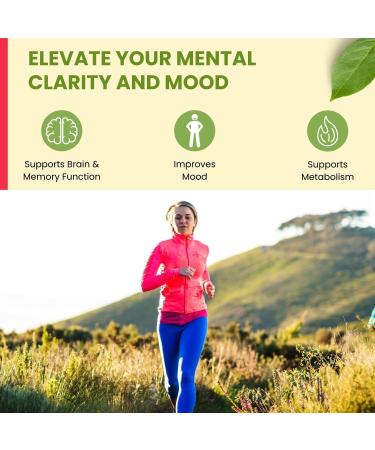 Natural Daily Energy Vitamins | Jitter-Free Focus & Mood Support | 60 Servings with Caffeine Taurine & Halal B Vitamins - Buy Online on GoSupps.com