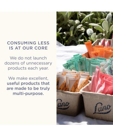 Lanolips Hydrate & Dream Minis Gift Set - Includes 101 Ointment Lanolin Lip Balm in Strawberry & Raspberry Shortcake + 12 Hour Overnight Lip Mask - Lanolin Skin Care Set (3 Pieces) - Buy Online on GoSupps.com