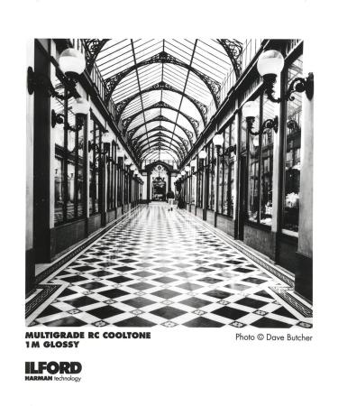 Ilford Multigrade 8X10 RC Cooltone Glossy Photo Paper - 25 Sheets | 1168457 - Buy Online on GoSupps.com