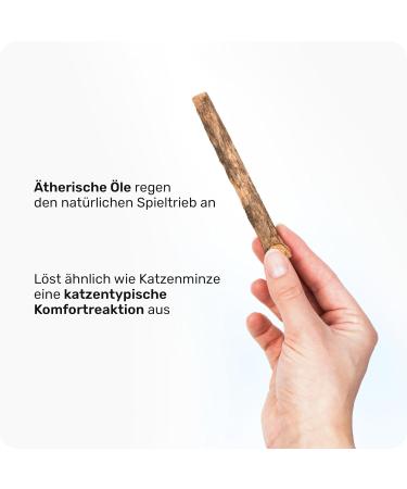 Buy Petnext 5 Matatabi Sticks | Natural Dental Care for Cats | Reduces Tartar & Plaque | Essential Oil Cat Toys | Freshness-Sealed - Buy Online on GoSupps.com