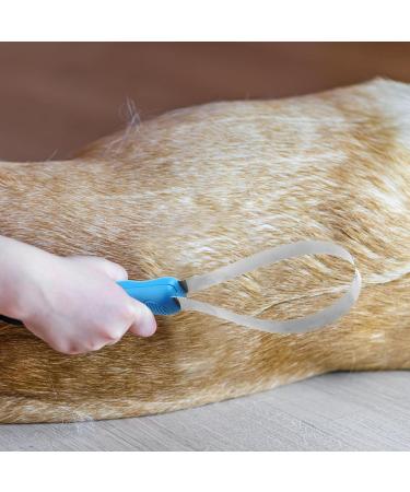 Maodom Shedding Blade - Double-Sided Metal Deshedding Tool for Pets | Comfortable Handle & Coarse/Fine Teeth for Effective Pet Care - Buy Online on GoSupps.com