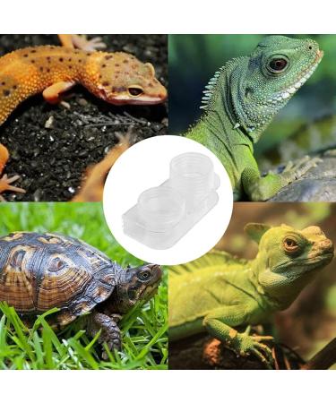 NA Reptile Feeding Ledge with 10 Pcs Water Food Bowl Feeding Dish Gecko Feeder Bowls for Bearded Dragon Turtles Guana Tortoises - Buy Online on GoSupps.com