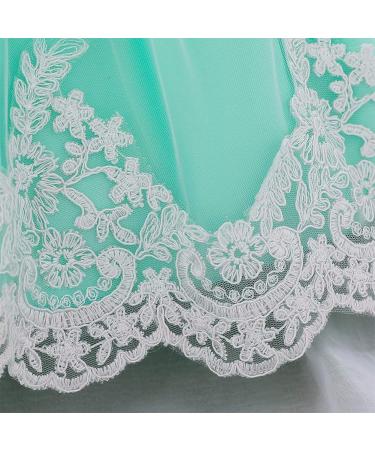 FYMNSI Baby Girl Baptism Christening Dress | Lace Floral Embroidery | Formal Party Birthday Pageant Wedding | 9-12 Months Light Green - Buy Online on GoSupps.com