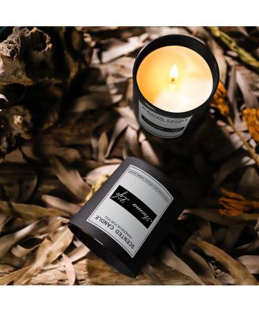 10oz 8 Pack Thickened Glass Candle Jars with Metal Lids - Matte Black - Buy Online on GoSupps.com