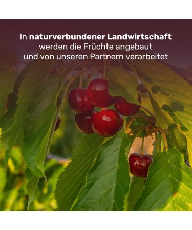  ARISTOS Aristos Evlogia Fruit Spread - Greek Cherries | Sugar-Free Jam Breakfast Spread Bread Spread Everyday Food - Buy Online on GoSupps.com