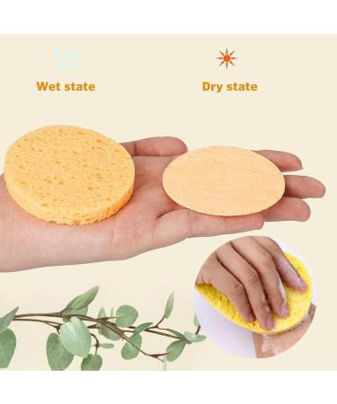 Face Cleansing Pads Facial Sponges 50PCS Face Cleansing Pads Skin-Friendly Absorbent Compressed Facial Sponges Face Cleansing Pads for Makeup Remover Exfoliating - Buy Online on GoSupps.com
