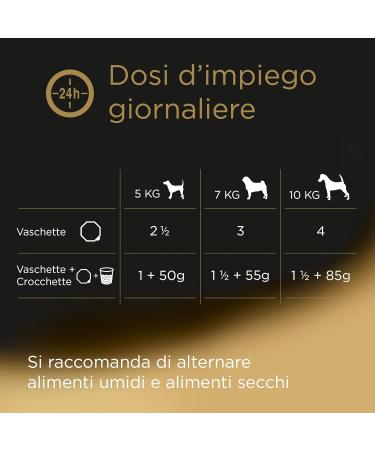 Cesar Classic Recipes Dog Food with Juicy Lamb & Chicken in Jelly - 150g | 14 Bowls of Lamb & Turkey - Premium International Delivery - Buy Online on GoSupps.com