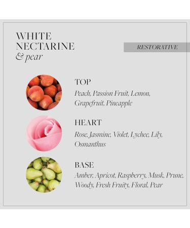Grace Cole England White Nectarine and Pear Luxurious Body Butter 7.94 Fl Oz 8 Ounce (Pack of 1) - Buy Online on GoSupps.com