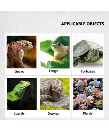 Buy Omem Reptile Coconut Brick & Dried Moss Set for Turtles | Warm Hibernation Floor Mat - Ideal Pet Supplies - Buy Online on GoSupps.com