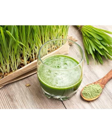 Organic German Barley Grass Powder - 1000g | Raw Food Quality | Residue-Controlled | Natural & Clean - My Mosaic - Buy Online on GoSupps.com