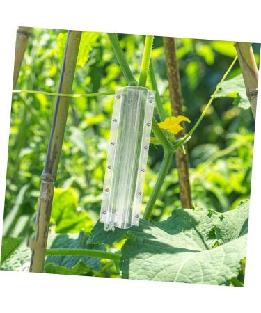 Yardwe 4pcs Shaped Fruit Vegetable Shaping Shaper Small Fruit Multifunction - Buy Online on GoSupps.com