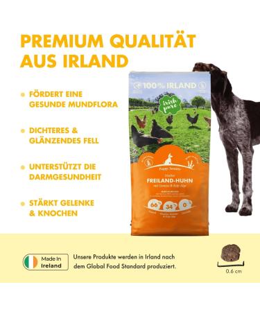 Irish Pure Puppy Dry Puppy Food - 1.5kg - Outdoor Chicken with Seaweed Vareps and Vegetables - High Meat Content - Grain Free - Sensitive - For All Breeds - Buy Online on GoSupps.com