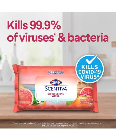 Clorox Scentiva Disinfecting Wipes Value Pack - 6 Pack (3x 75ct Pacific Breeze & Coconut, 3x 75ct Tahitian Grapefruit Splash) - Buy Online on GoSupps.com
