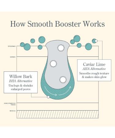 Beekman 1802 Smooth Booster Willow Bark Exfoliating Face Serum - Fragrance-Free Vegan & Cruelty-Free for Bumpy Skin - Buy Online on GoSupps.com