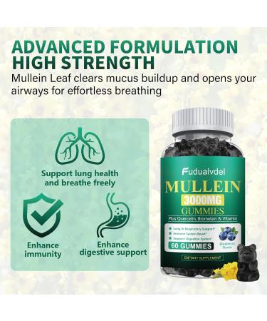 2 Packs 3000MG Organic Mullein Gummies for Lung Mullein Leaf Extract for Lungs - Quercetin Bromelain for Respiration Immune and Digestive Support 120 Count Blueberry Gummys 60 Count (Pack of 2) - Buy Online on GoSupps.com