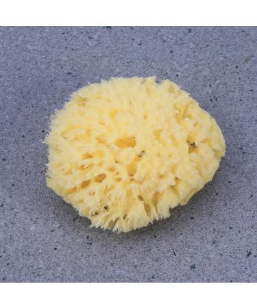 Angoily Natural Sea Sponges Soft Bath Sponges Body Puff Scrubber Used in Bath Shower Cleansing Exfoliating - Buy Online on GoSupps.com