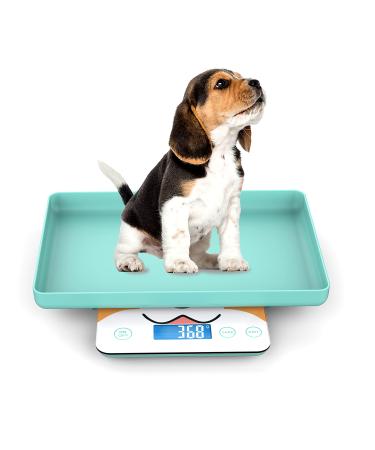 Newborn Pet Scale for Puppy and Kitten, Pet Scale with Detachable Tray for Dog Whelping Nursing, Weigh Pets Baby in Grams, 33lbs (0.03oz), Size 11"x 9" Inch (Robin-Egg Blue)