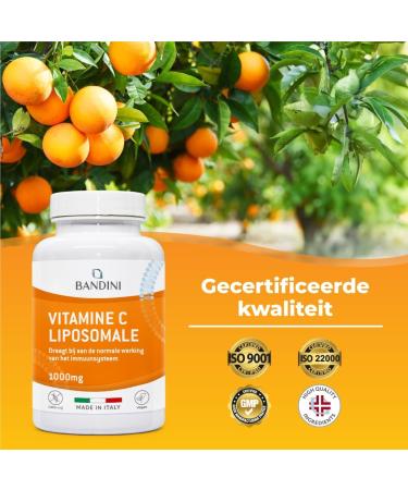 Bandini Liposomal Vitamin C 1000 mg 180 capsules High dose liposomal vitamin C 100 vegan Immune system bones cartilage skin teeth fatigue Pure Ascorbic Acid - Buy Online on GoSupps.com