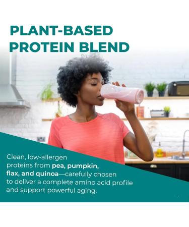 Reignite Wellness by JJ Virgin | Vanilla Plant-Based All-in-One Shake | New & Improved Formula Plant Protein Powder, Vitamins, Minerals, Greens & Aminos | 20g of Plant Protein | 30 Servings - Buy Online on GoSupps.com