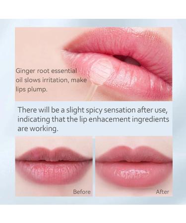 Rosarden Ginger Plump Lipstick - Daily Lip Gloss for Moisturizing and Reducing Lines - Buy Online on GoSupps.com
