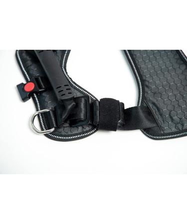 DogMaster 2.0 XL Dog Safety Belt - Black | Premium Pet Travel Harness for Dogs | International Shipping Available - Buy Online on GoSupps.com