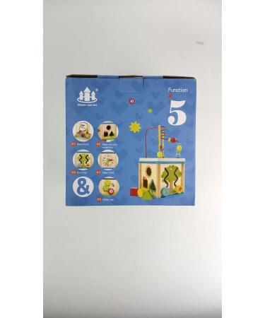 Surplex Motor Cubes Pearls Labyrinth - 5-in-1 Play Center Activity Cube for Babies | Montessori Learning Toys | Perfect Gift for Boys & Girls 12 Months+ - Buy Online on GoSupps.com