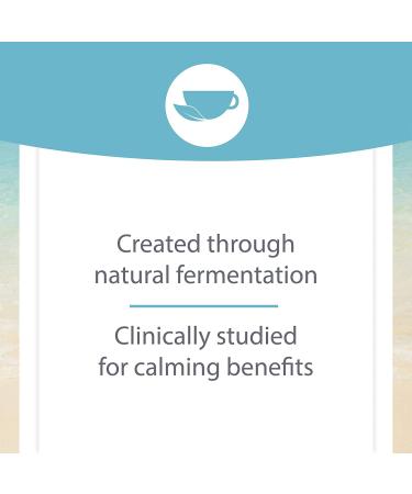 Natural Factors Stress-Relax Pharma GABA 250 mg - 60 Vegan Capsules for Stress Relief - Buy Online on GoSupps.com