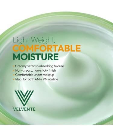 VELVENTE Matcha Hydrating Facial Moisturizer Rose PDRN All-in-One Skin Face Cream for Redness Dark Spot Acne-Prone Skin Brightening Anti-Aging Barrier Support Cream Korean Skincare 3.53 oz - Buy Online on GoSupps.com