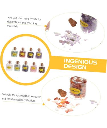 Hemoton 9pcs Tumble Chips Quartz Gem Chip Tumble Stones Mixed Gemstone Bottles Wishing Bottle Gem Bottle Ore As Shown 9PCS - Buy Online on GoSupps.com