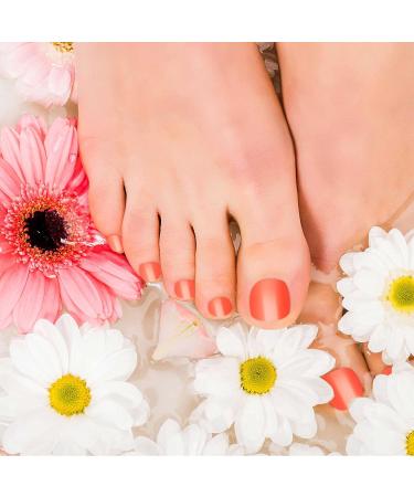 336 Pieces 14 Sets Short False Toenails Press on Toenails Short Square Glossy False Toe Nails Full Cover Square Fake Nails Artificial Toenail Tips for Nail DIY Manicure (Fresh Color) - Buy Online on GoSupps.com