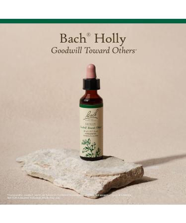 Bach Original Flower Remedies Holly - Goodwill Towards Others - Natural Homeopathic Flower Essence for Emotional Balance - Vegan Gluten Free Sugar Free - 20mL Dropper - Buy Online on GoSupps.com