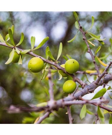 Arganature Arganim | 100% Pure Argan Oil for Skin & Hair | 50ml Organic Anti-Aging Serum | Cruelty-Free Natural Cosmetics - Buy Online on GoSupps.com