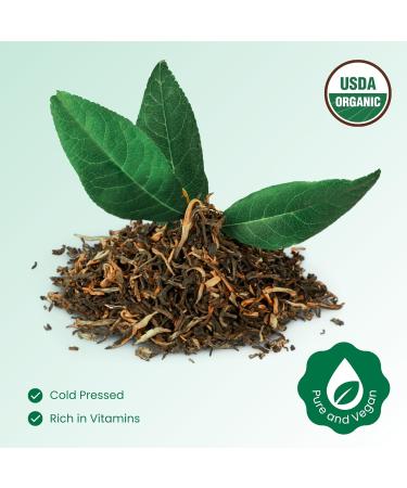 BodyJ4You Pure Tea Tree Oil - 100% Natural USDA Organic Premium Grade Essential Oil - Face Skin Care Healthy Hair Scalp Toenail Piercing Aftercare - Undiluted Non-GMO Aromatherapy DIY Beauty - 1 Fl Oz 1 Fl Oz (Pack of 1) - Buy Online on GoSupps.com