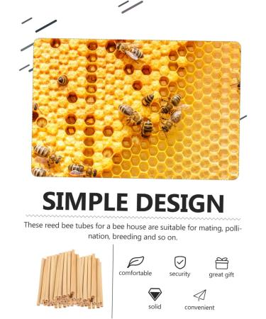 Bee House Bee Tubes 50pcs:Mason Bee Tube Refill Ground Mason Bees for Bee Storage Tubes Bee Habitat Mason Bee House Tubes Carpenter Bee House Mason Bee Paper Inserts Hive Lining - Buy Online on GoSupps.com