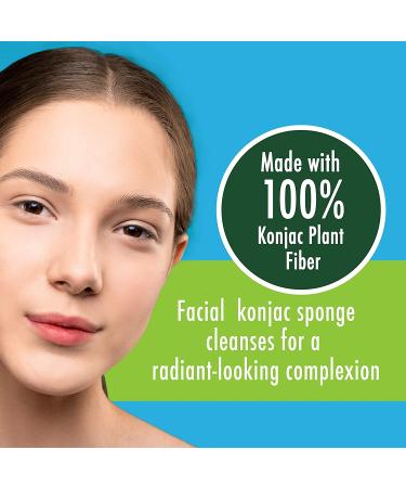EcoTools Turmeric Konjac Facial Sponges - Excess Oil Removal Scrubber for Skincare - Set of 6 - Buy Online on GoSupps.com