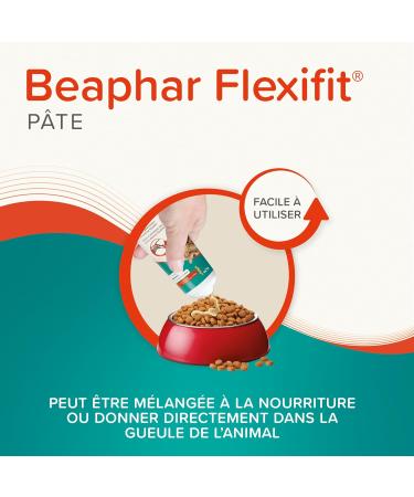 BEAPHAR Flexifit Joint Paste for Dogs and Cats Contains vitamins collagen glucosamine calcium and essential fatty acids for animals suffering from stiffness Level 2 250g - Buy Online on GoSupps.com