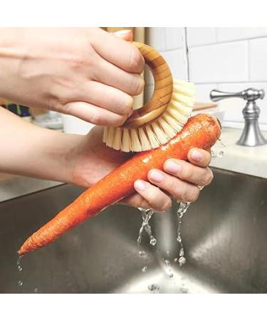 Full Circle The Ring Fruit and Vegetable 2 in 1 Fruit & Vegetable Cleaning Brush  Small (Pack of 1)  White - Buy Online on GoSupps.com