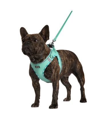 AMTOR Dog Harness with Leash Set,No Pull Adjustable Reflective Step-in Puppy Harness with Padded Vest for Extra-Small/Small Medium Large Dogs and Cats Small(Chest:13.5"-16.0") LightGreen
