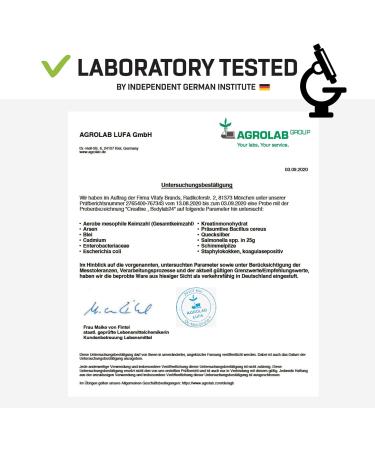 BODYLAB24 Creatine Powder 500g | Pure Creatine Monohydrate | High-Dose Energy & Strength | Clean Sport Cologne List | 100 Portions - Buy Online on GoSupps.com