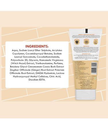Shop Ginger & Cinnamon Face Wash for Men & Women | Reduces Pimples Dark Spots & Minimizes Pores | Paraben-Free with Witch Hazel - 100ml - Buy Online on GoSupps.com