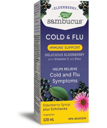 Nature's Way Sambucus Cold and Flu Care Immune with Vitamin C and Zinc Elderberry Syrup with Echinacea and Propolis Used in Herbal Medicine for Symptom Relief for Kids 2+ and Adults 120 ml