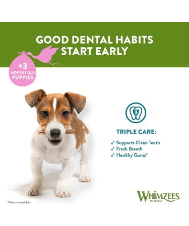 WHIMZEES Puppy Stix Natural and Grain Free Dog Chews Puppy Dental Sticks 28 Pieces Size XS/S 28 g (Pack of 1) Extra Small to Small Breed (2-9kg) - Buy Online on GoSupps.com