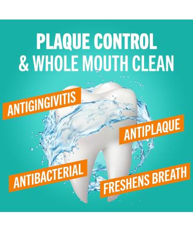 TheraBreath Plaque Control Pre-Brush Oral Rinse - Refreshing Mint - 16 Fl Oz. - Buy Online on GoSupps.com