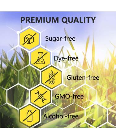 Organic Hemp Oil 10,000,000 mg - Natural Drops - Rich in Vitamins B, C, E & Omega 3, 6, 9 - USA Made - Buy Online on GoSupps.com