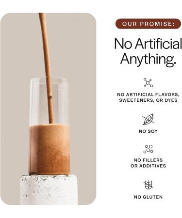 Gainful Everyday Plant Protein Powder & Neapolitan Flavor Bundle 23g Plant Protein Supports Strength Recovery and Balanced Nutrition Vegan Gut Friendly 14 Servings + 14 Flavor Sticks - Buy Online on GoSupps.com