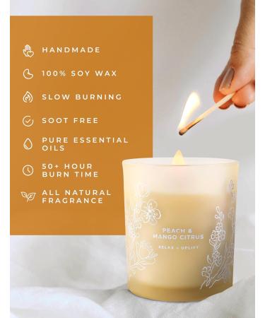 Large Peach Mango Tropical Citrus Candle - Natural Soy Aromatherapy Jar - Long Lasting 10.6 oz Fresh Summer Scent for Home - Perfect Gift for Men & Women - Buy Online on GoSupps.com