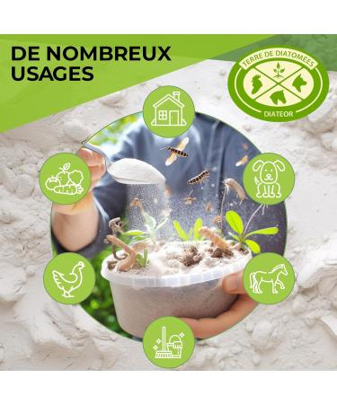 DIATOMACEOUS EARTH DIATEOR - 2Kg Bucket of Food Grade Diatomaceous Earth - 100% Natural Uncalcined - Extra Fine White Powder - Made in France - Buy Online on GoSupps.com
